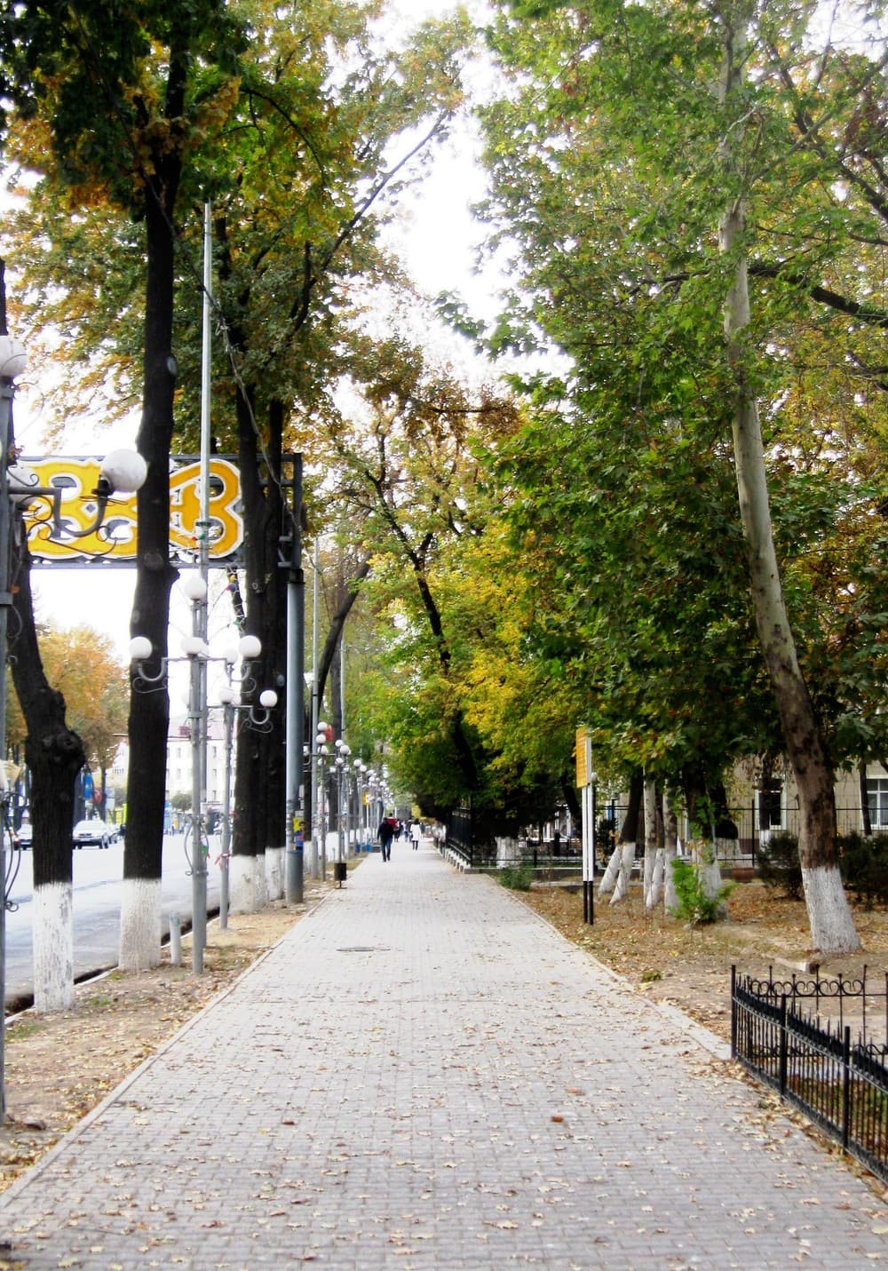 Улицы Шымкента