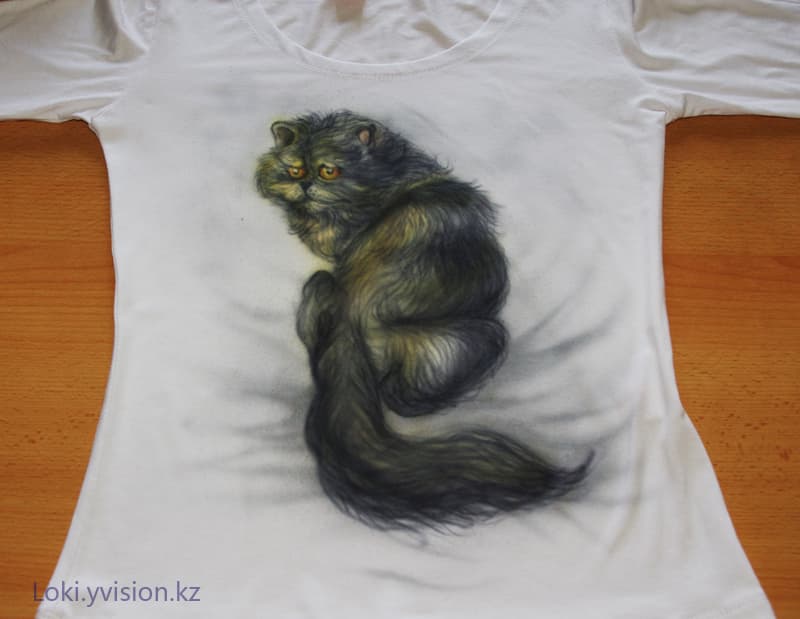 Кот бандит
