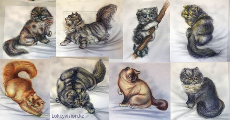 Много котов