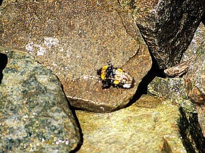 фото luginka, Тургеньский водопад фото luginka, Гулим Амирханова