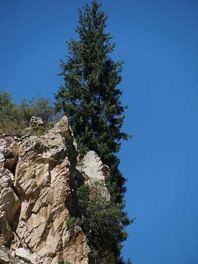 фото luginka, озеро Иссык фото luginka, озеро Иссык
