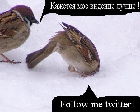 Вот не понимаю я этот твиттер Вот не понимаю я этот twitter