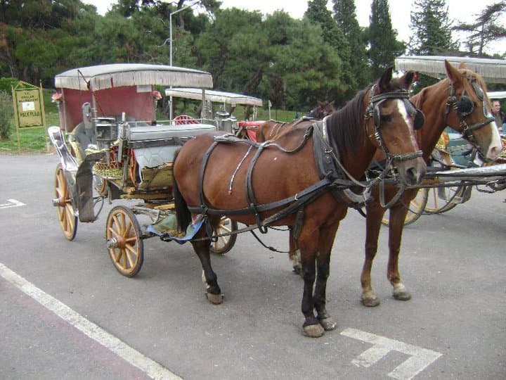 Принцевы острова