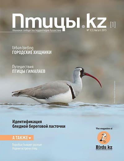 magazine magazine