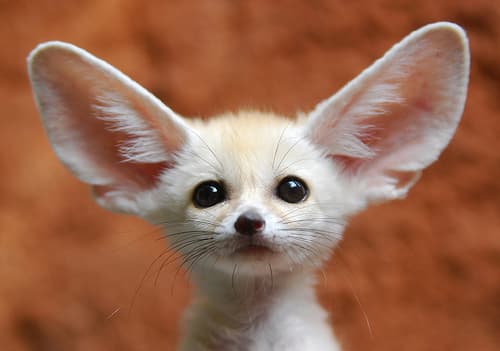 Просто картинкоооо