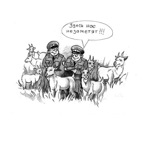 На злобу дня ГАИ