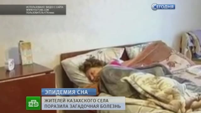 Сонное царство Сонное царство
