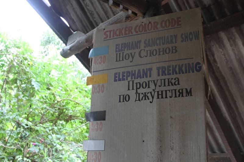 прогулка на слонах в Паттайе