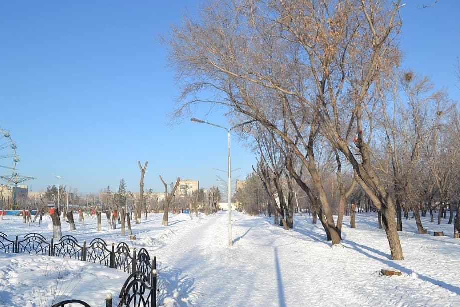 Загадка природы - справа от дорожки здоровые дервья, а слева - вдруг внезапно заболели, аж пришлось спилить Загадка природы - справа от дорожки здоровые дервья, а слева - вдруг внезапно заболели, аж пришлось спилить
