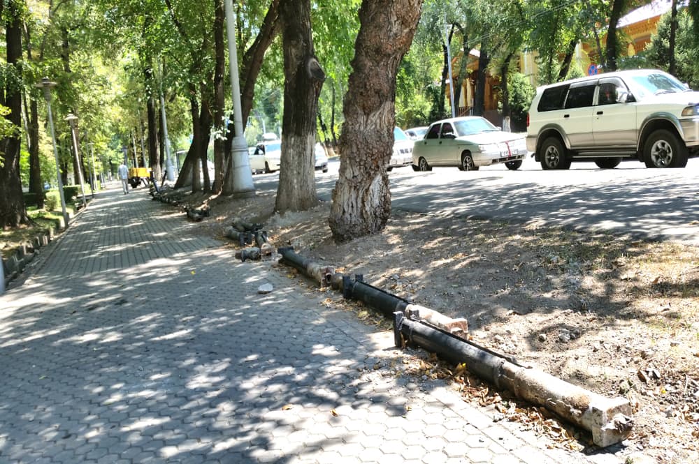Снос чугунной ограды в парке им.Дзержинского расположенном на Кабанбай батыра угол Наурызбай батыра Снос чугунной ограды в парке на Кабанбай батыра угол Наурызбай батыра, уничтожение парка им.Дзержинского Алматы, уничтожение парка сосновый алматы, уничтожение парков алматы, снос парковых оград алматы, акимат алматы снос парковых оград, акимат алматы снос чугунных ограды, парковые ограждения снос алматы, акимат алматы снос ограждений парков, аким алматы байбек ограды парков, алматинские парки ограждения, ограды алматинских парков, чугунные ограды алматы, парковые ограды алматы, чугунные ограждения алматы, парки алматы, чугунные ограды демонтаж алматы, парковые территории алматы, алматы туризм, благоустройство алмат акимат, парк сосновый алматы, парк калинина дзержинского алматы, ограды парков алматы, уничтожение парка на Кабанбай батыра угол Наурызбай батыра, парк у уйгурского театра алматы, благоустройство алматы акимат, акимат алматы скверы и парки, байбек алматы, аким алматы итоги работы, аким байбек итоги работы, деятельность акима байбека алматы, итоги деятельности байбека алматы, роман шнайдерман алматы, парк роман шнайдерман, пешеходные зоны шнайдерман роман, парки скверы реконструкция алматы акимат, вырубка деревьев алматы, роман шнайдерман портфолио, проект роман шнайдерман, экология алматы, парки и скверы алматы, дорожки алматы, пешеходные зоны алматы, улицы алматы, алматы, уничтожение деревьев алматы, уничтожение парка на Кабанбай батыра угол Наурызбай батыра, парк у Уйгурского театра, деятельность акимата алматы, акимат экология алматы, алматинская экология, алматинские парки акимат алматы, проекты романа шнайдермана алматы, дизайнер роман шнайдерман, архитектор роман шнайдерман, шнайдерман роман архитектор алматы, улицы роман шнайдерман