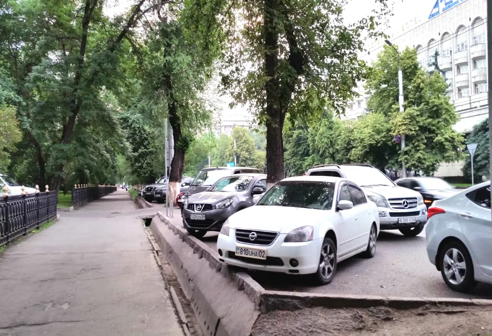 уничтожение парковых зон алматы, уничтожение парка алматы, уничтожение деревьев алматы, вырубка в парках алматы, парк панфиловцев алматы, акимат алматы парки, парки акимат алматы, парк панфиловцев алматы, вырубка в парке панфиловцев алматы, туризм алматы