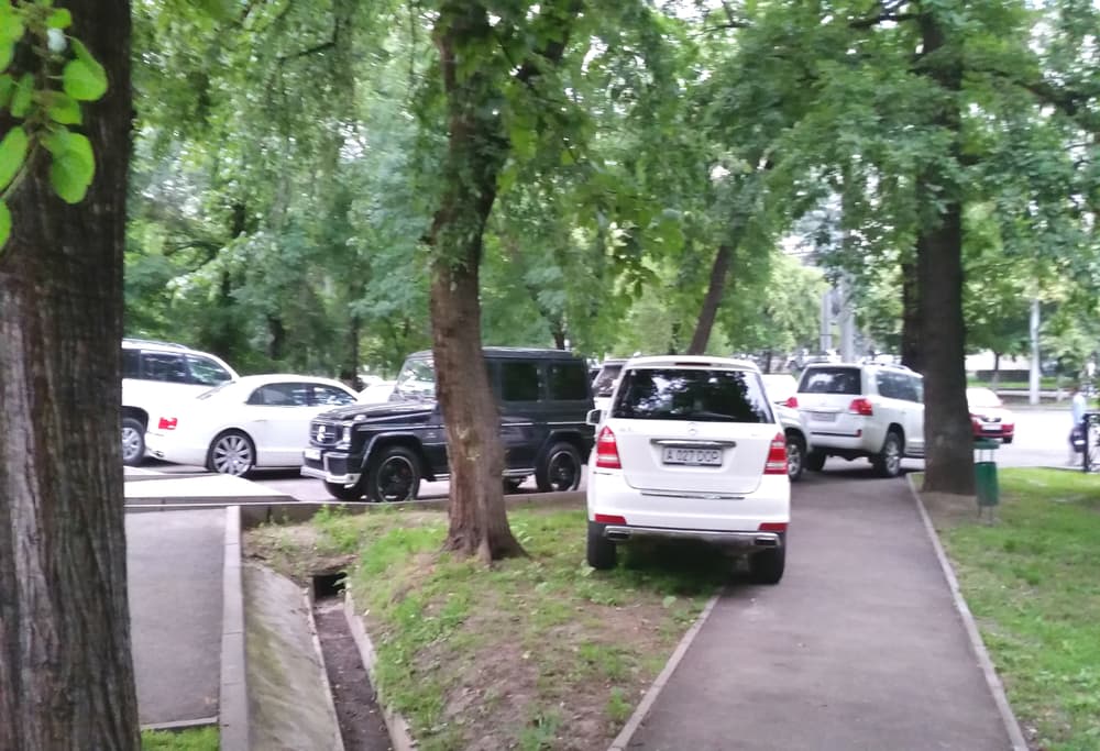 парковка а парке 28 панфиловцев, вырубка деревьев парки алматы, вырубка парк панфиловцев алматы, вырубка деревьев алматы,