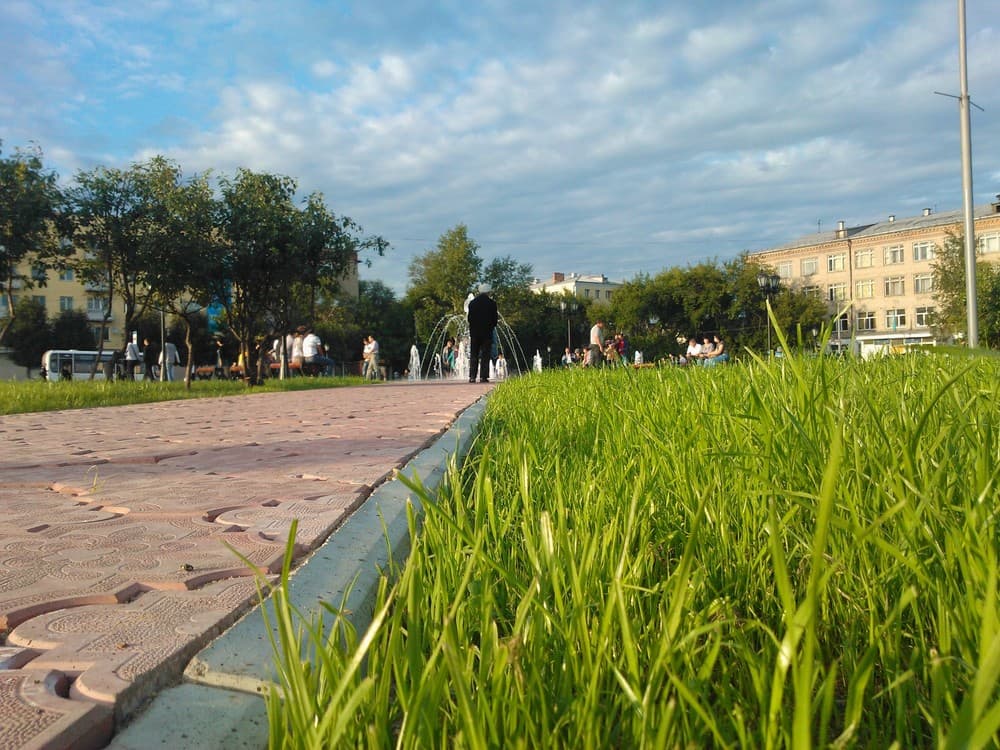Газон, Петропавловск Газон, Петропавловск