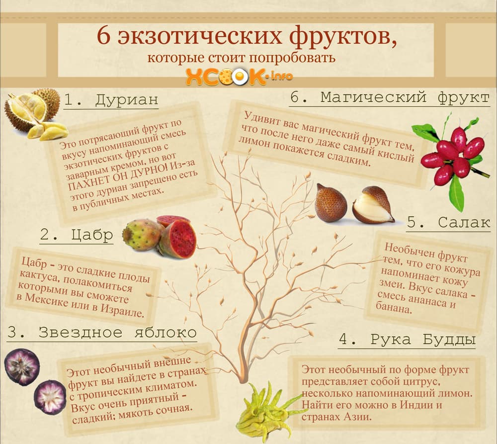 6 экзотических фруктов, которые стоит попробовать! экзотические фрукты