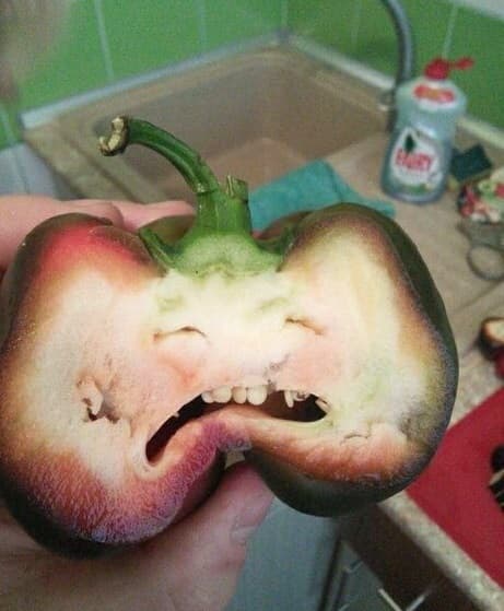 плачущий перец