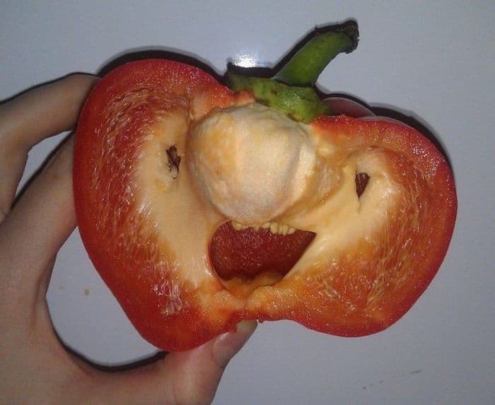 оптимистичный перец