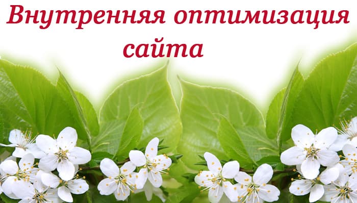 Раскрутка сайта раскрутка сайта