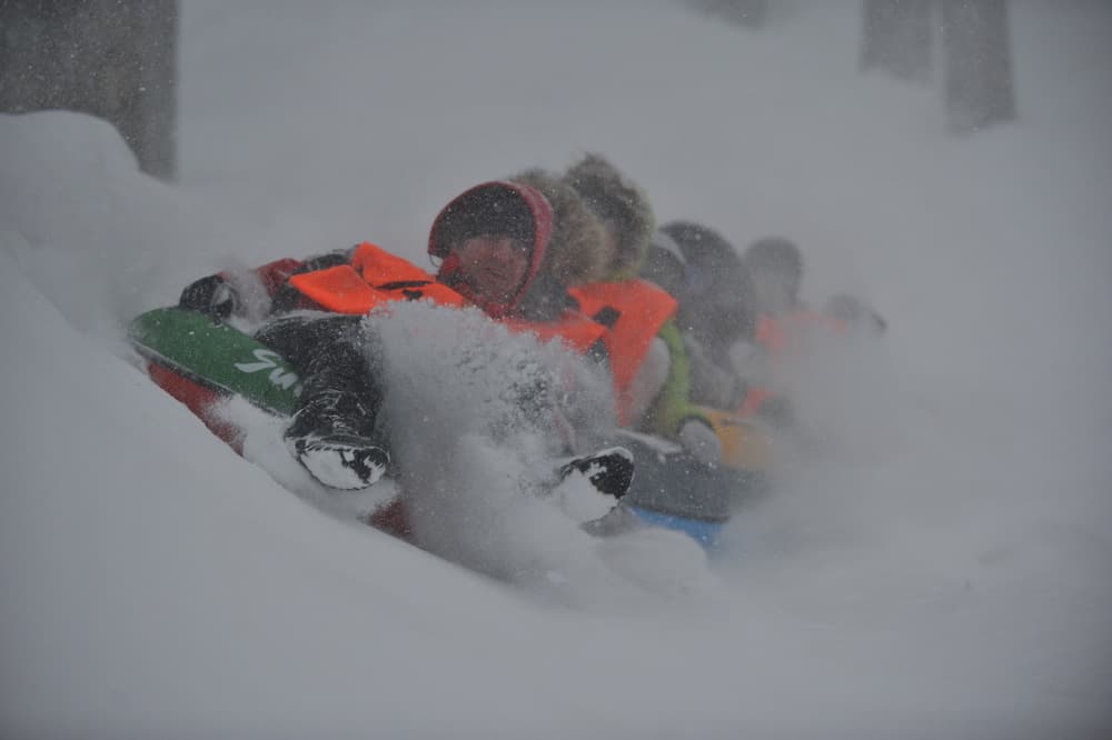 Лесная сказка, ватрушки, Snow Fest,