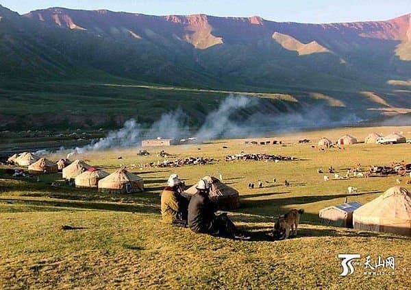 Ауыл – ел бесігі» » Толқын - Арал аудандық қоғамдық-саяси газет